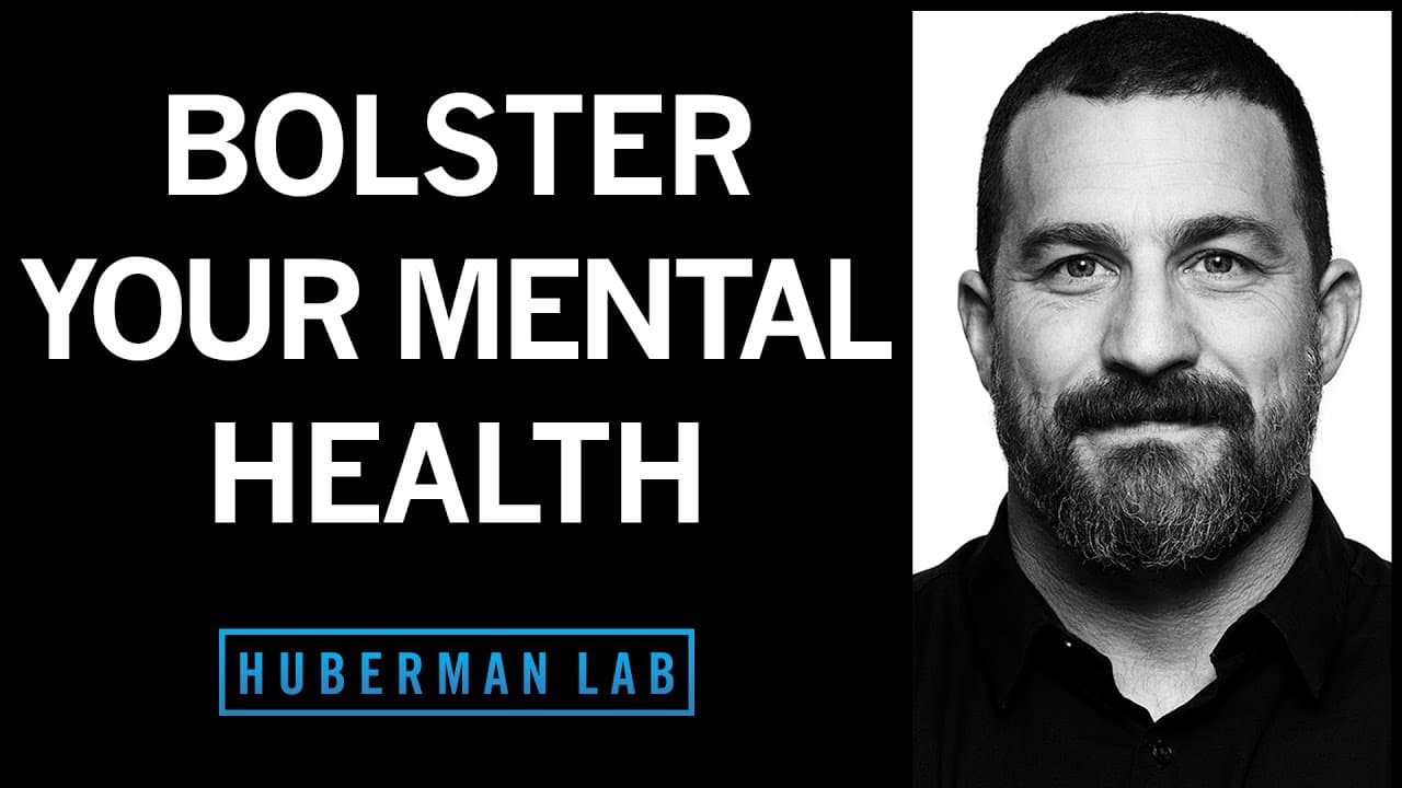 Mental Health Toolkit: Tools to Bolster Your Mood & Mental Health