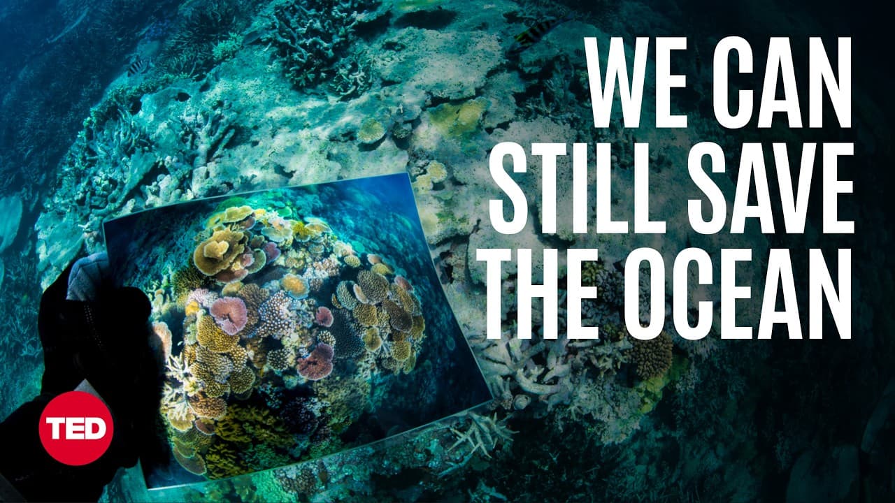 We’re Keeping the Ocean Wild — and You Can Join Us | Sylvia A. Earle | TED