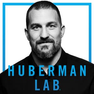 Alcohol and brain health · Huberman Lab