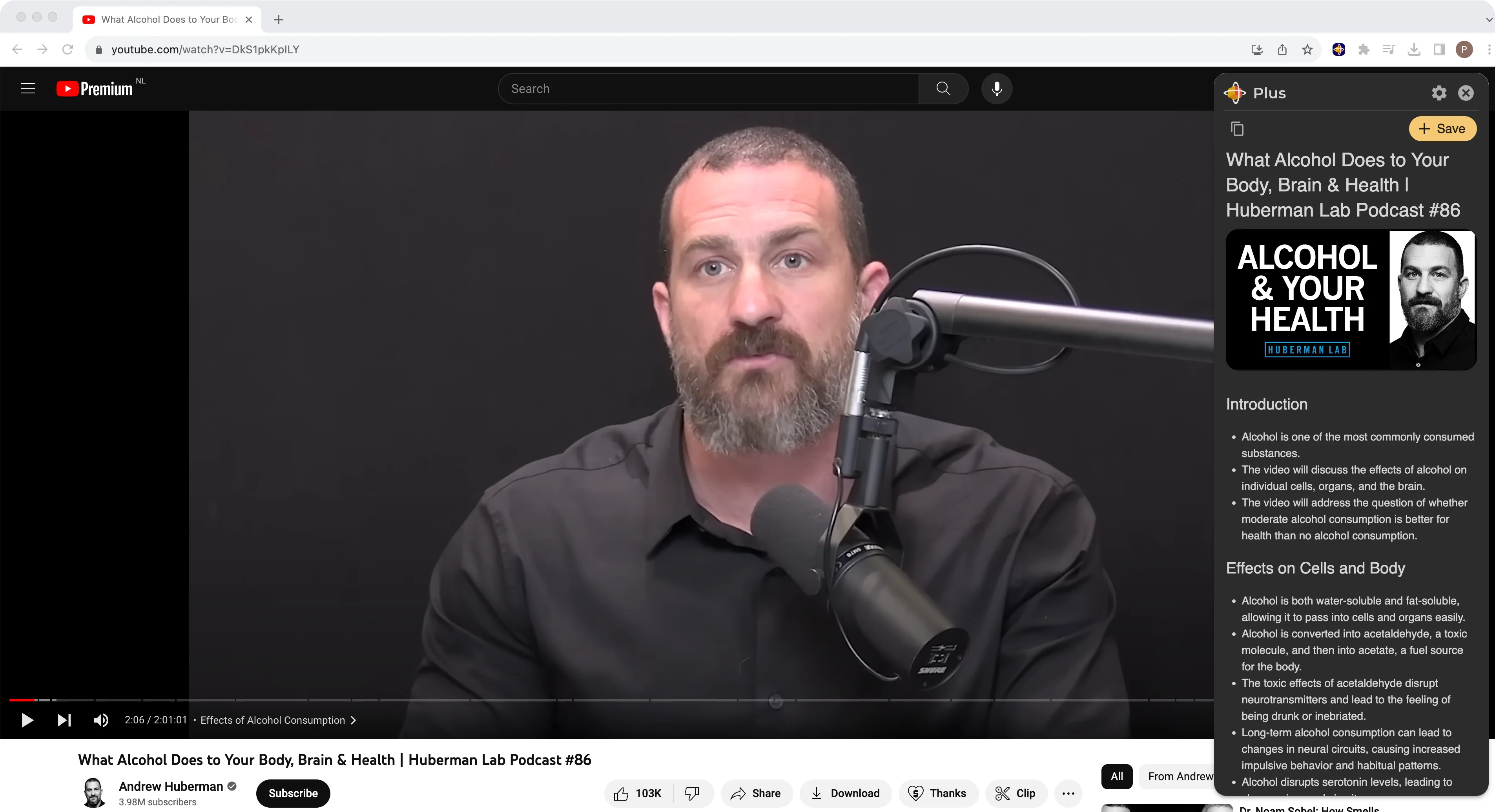 The Ultimate YouTube Video Summarizer