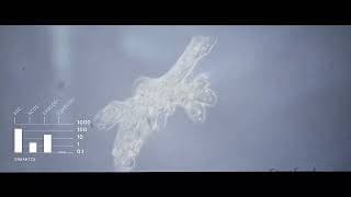 Stanford Seminar - From the surface of Mars to the ocean of Enceladus