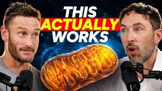 10 Signs Your Mitochondria are Dying (that lab tests don't show)