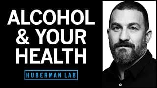 What Alcohol Does to Your Body, Brain & Health | Huberman Lab Podcast #86