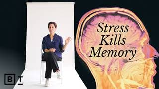 A neuroscientist’s guide to protecting your brain, in 58 minutes | Lisa Genova: Full Interview