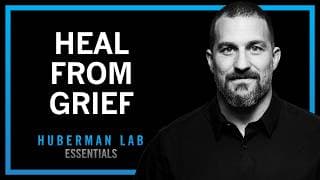 The Science & Process of Healing from Grief | Huberman Lab Essentials