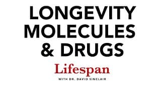 NMN, NR, Resveratrol, Metformin & Other Longevity Molecules | Lifespan with Dr. David Sinclair #4