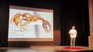 The Hidden Empire: How Ants Secretly Run the World | Gray McCallum | TEDxUHS Youth