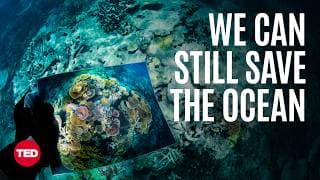 We’re Keeping the Ocean Wild — and You Can Join Us | Sylvia A. Earle | TED